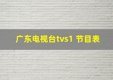 广东电视台tvs1 节目表